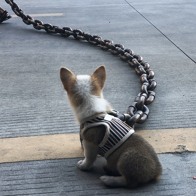 Stylish and Fun Dog Leash