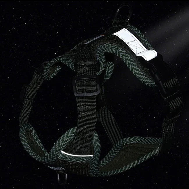 Reflective Harness With Leash For Small Dogs