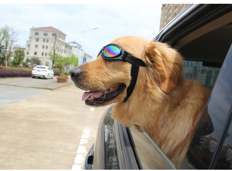UV Protection Glasses for Dogs in 7 Colors