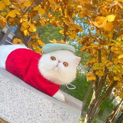 Felt Hat for Pets - Available in 3 Colours