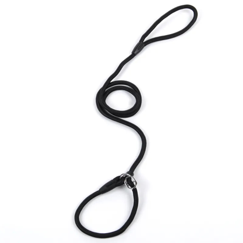 Durable Dog Leash with Carabiner for a Safe Walk