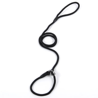 Durable Dog Leash with Carabiner for a Safe Walk