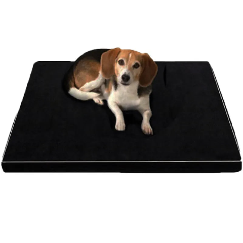 Dog Bed with Non-Slip Bottom for Safe Sleep