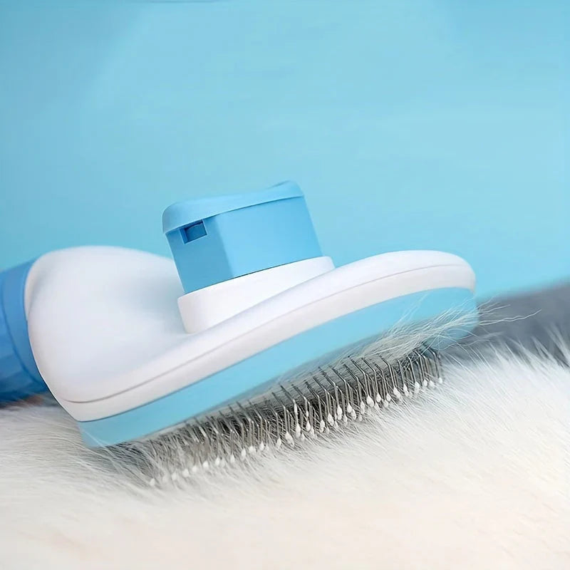Practical and Simple Brush for Hair Removal