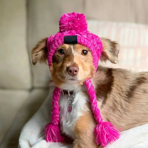 Knitted Hat for Pets with Pom-Pom and Twisted Pom-Poms in Pink