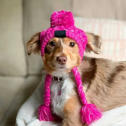 Knitted Hat for Pets with Pom-Pom and Twisted Pom-Poms in Pink