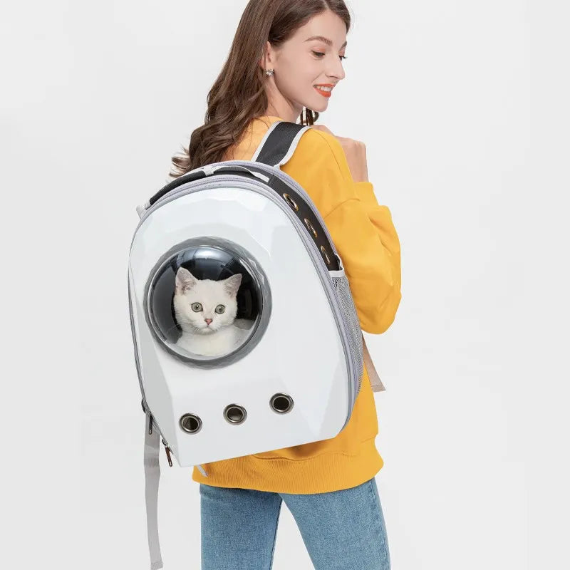 Petsors Ultimate Pet Surprise Bundle | 5 Random Items From 21 Premium Products | Dog & Cat Toys, Gadgets & Accessories