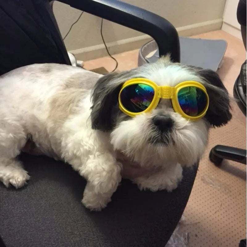 UV Protection Glasses for Dogs in 7 Colors