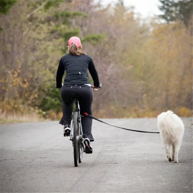 Dog Bike Leash with Suspension