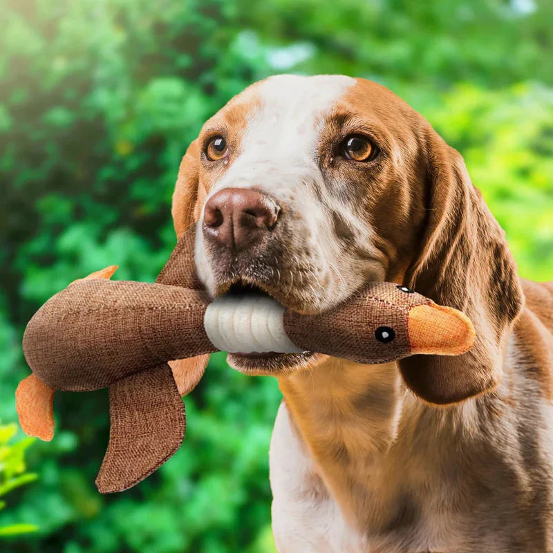 Durable Dog Toys (Buy 1 Get 1 Free Offer)