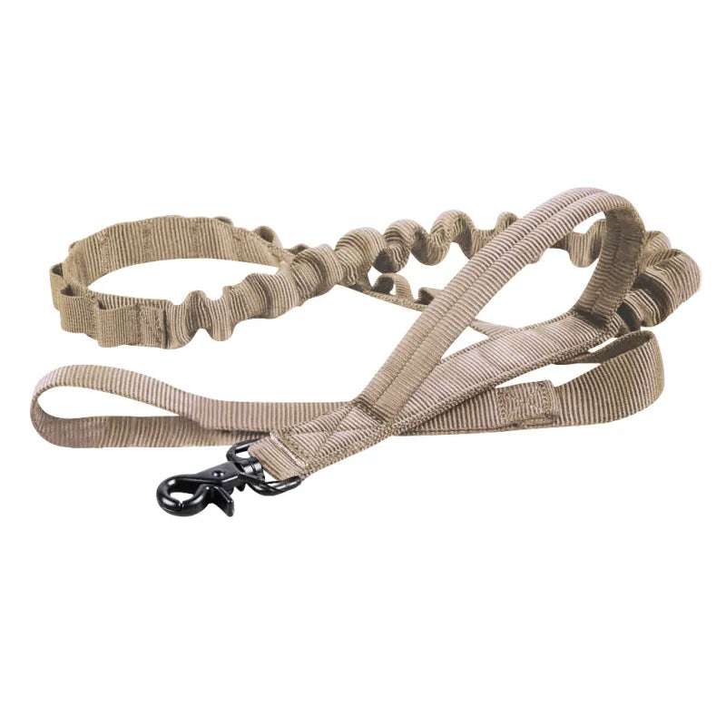 Adjustable Nylon Dog Collar with Strong Click Closure