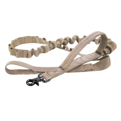 Adjustable Nylon Dog Collar with Strong Click Closure