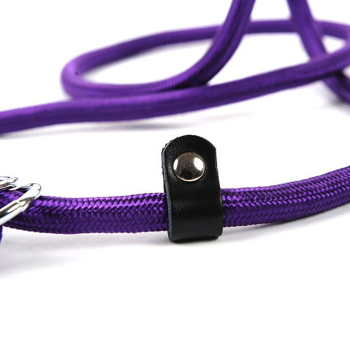 Durable Dog Leash with Carabiner for a Safe Walk
