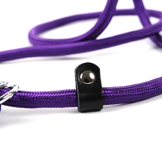 Durable Dog Leash with Carabiner for a Safe Walk