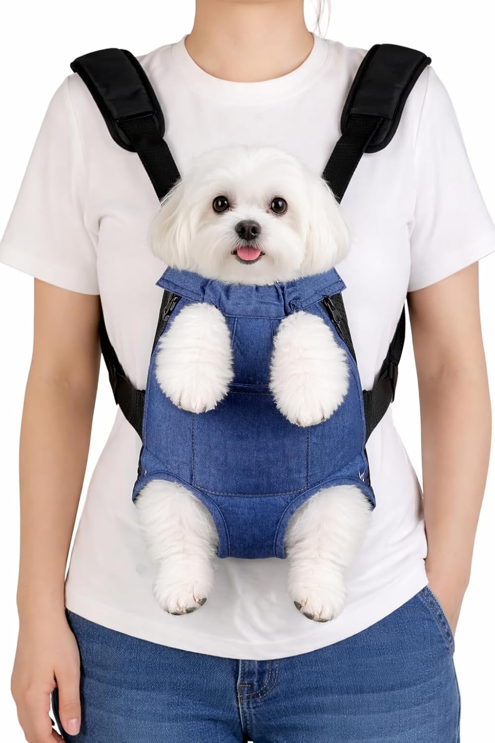PawPack Front-Facing Cat & small dog Backpack