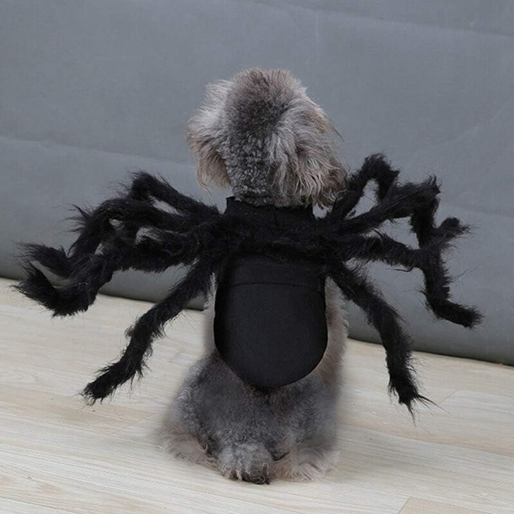 Fuzzy Spider Pet Costume