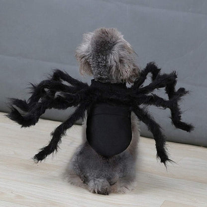 Fuzzy Spider Pet Costume