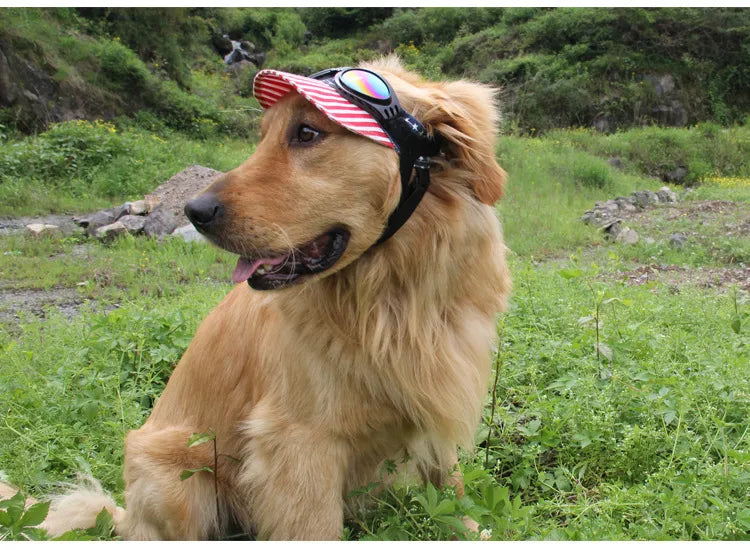 UV Protection Glasses for Dogs in 7 Colors