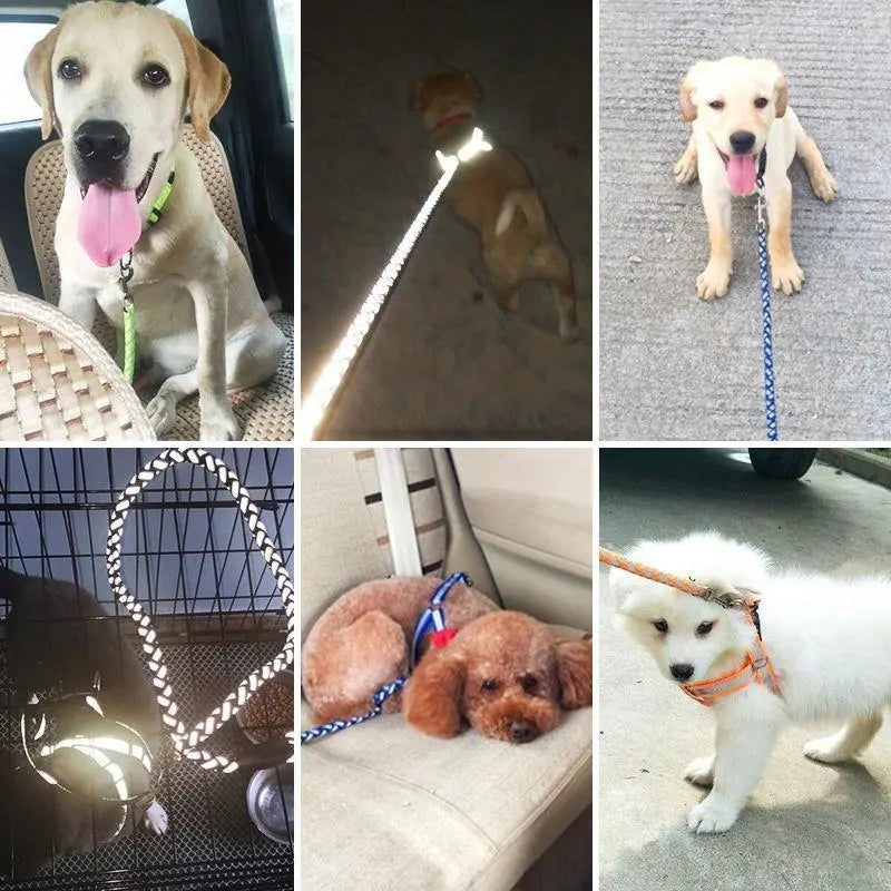 Reflective Dog Harness with Leash