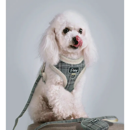 Comfortable Checkered Harness with Leash - With Practical Dog Bag for Walks