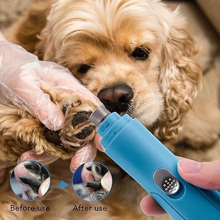 Electric Nail Grinder for Pets with USB Rechargeable Feature