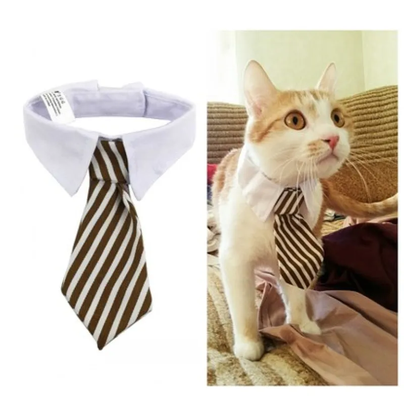 Elegant Pet Collar with Bow Tie for Dogs and Cats