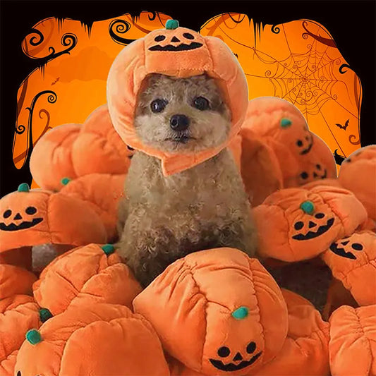Halloween Pumpkin Costume for Dogs