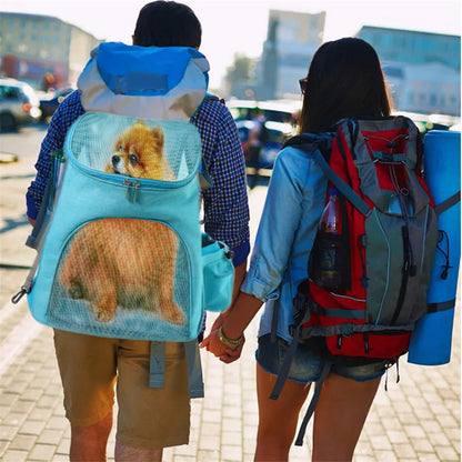 Pet Carrier Backpack with Mesh Design - Comfortable Travel Bag for Cats and Small Dogs