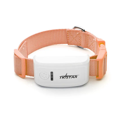 Dog Collar with Remote Control - Vibration and Shock Mode, Rechargeable