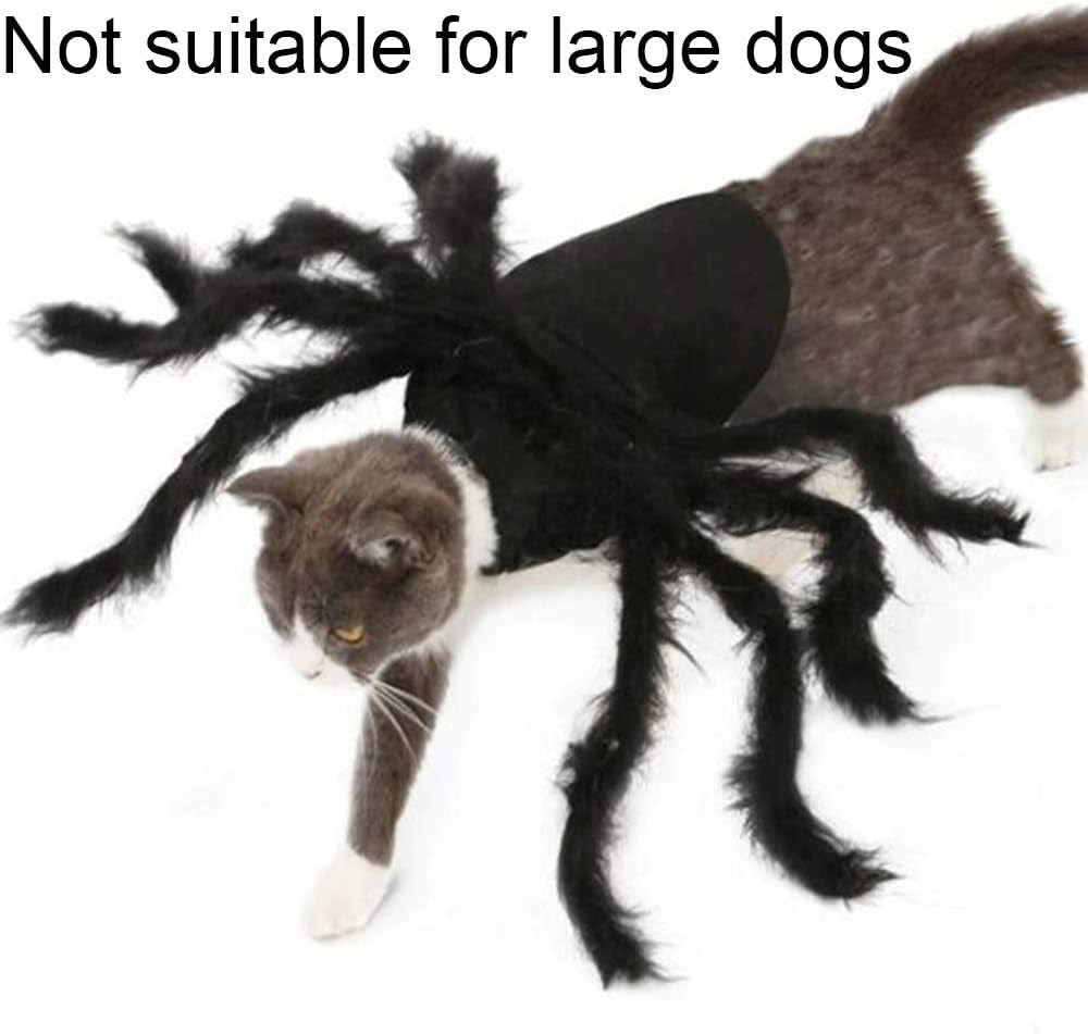 Fuzzy Spider Pet Costume