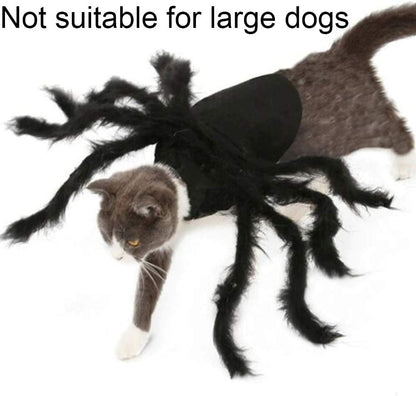 Fuzzy Spider Pet Costume