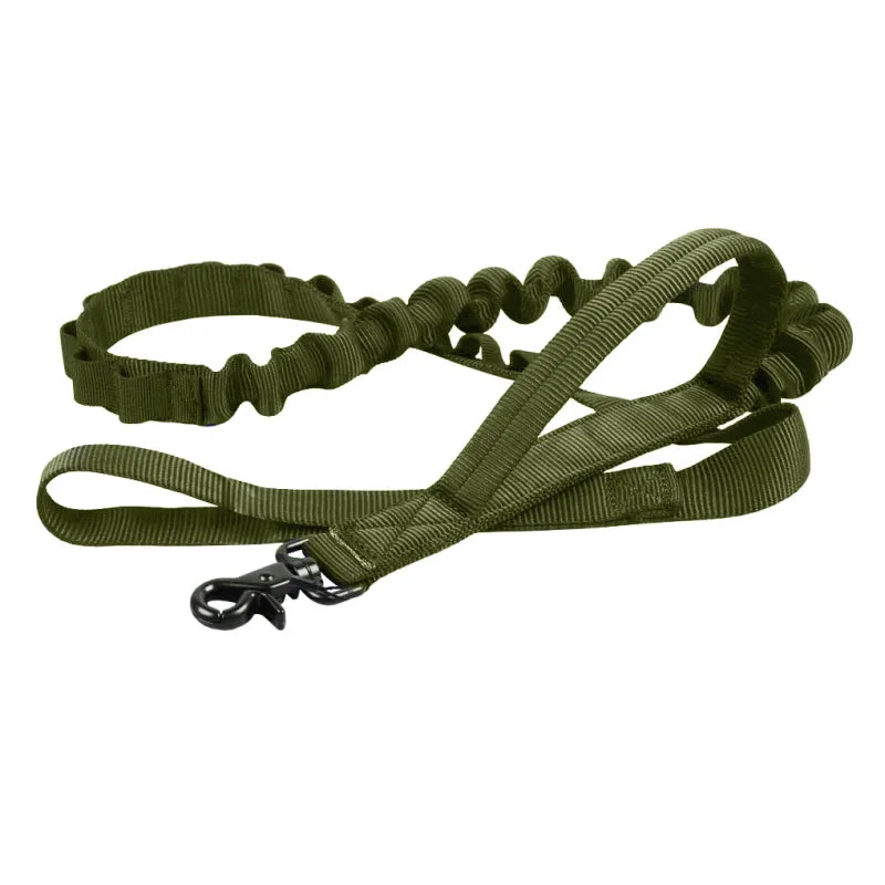 Adjustable Nylon Dog Collar with Strong Click Closure