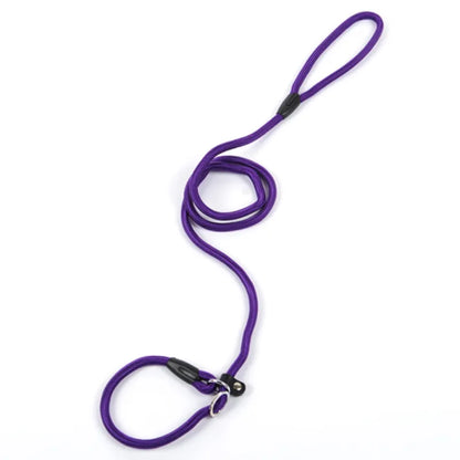 Durable Dog Leash with Carabiner for a Safe Walk