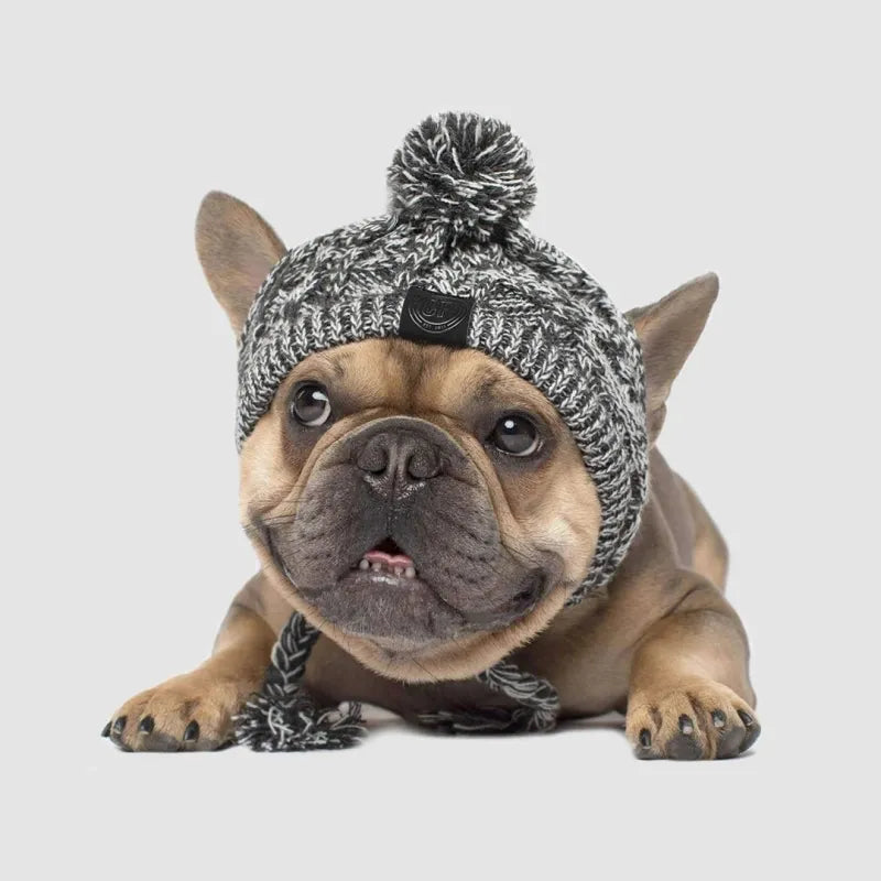 Stylish Dog Cap with Pom Pom – Warm Winter Hat for Small Dogs
