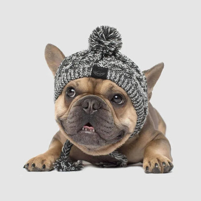 Stylish Dog Cap with Pom Pom – Warm Winter Hat for Small Dogs