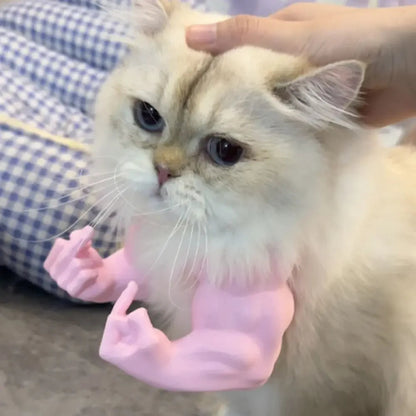 Cat Muscle Arms