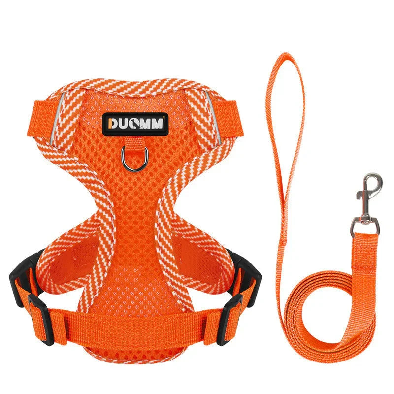 Reflective Harness With Leash For Small Dogs