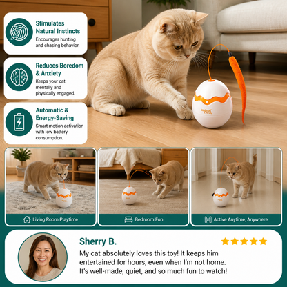 Interactive Wobble Egg Cat Toy – Automatic Feather Teaser