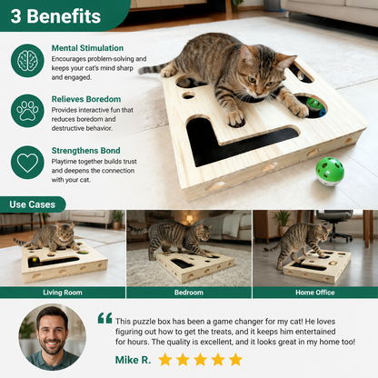 Interactive Wooden Cat Puzzle Box – Scratch, Hide & Treat Enrichment Toy