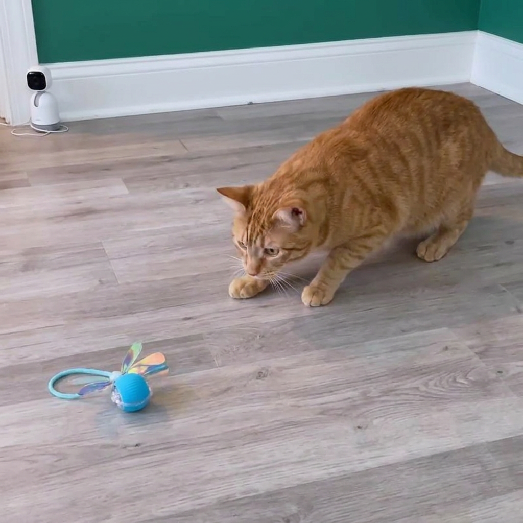 Upgraded Smart Rolling Cat Ball – Durable Interactive Toy with Mesh Tail
