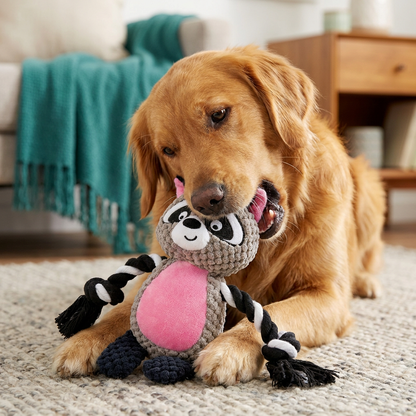Cotton Rope Plush Dental Squeaky Dog Toy