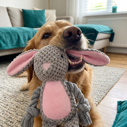 Cotton Rope Plush Dental Squeaky Dog Toy