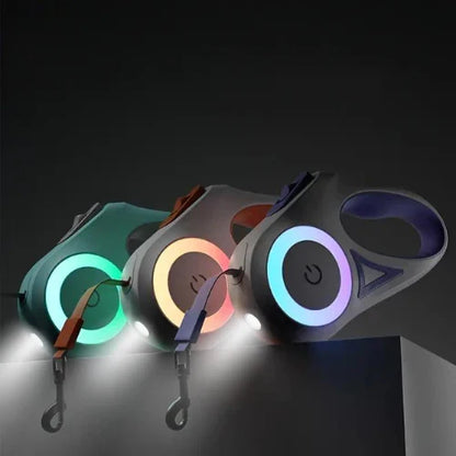 Dog Leash with Integrated LED Light