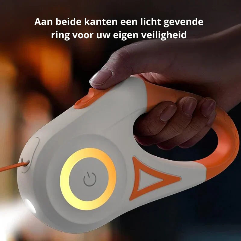 Dog Leash with Integrated LED Light