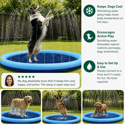Dog Fountain – Summer Toy