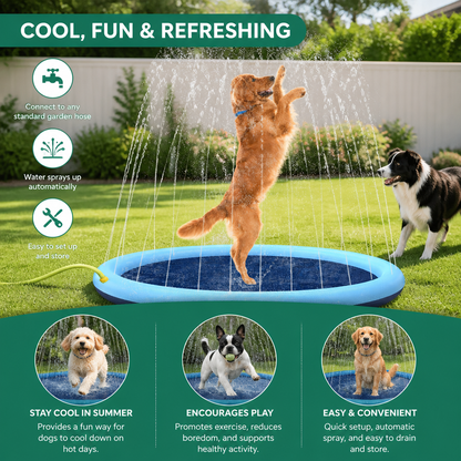 Dog Fountain – Summer Toy