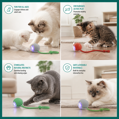 Interactive Play Ball With Tail For Cats