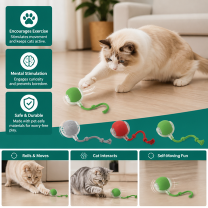 Interactive Play Ball With Tail For Cats