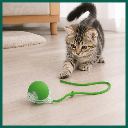 Interactive Play Ball With Tail For Cats