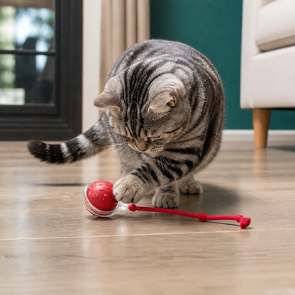 Interactive Play Ball With Tail For Cats